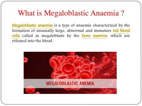 Megaloblastic Anaemia: Symptoms, causes, diagnosis, treatment and pre…