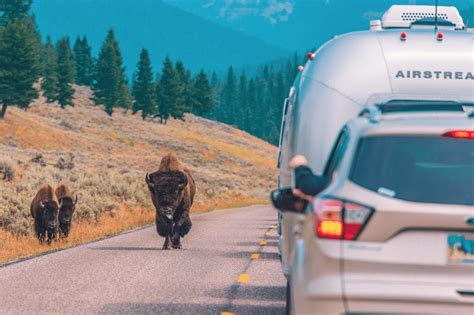 Road Trip Destination: Yellowstone National Park - Happy Campers RV Rentals