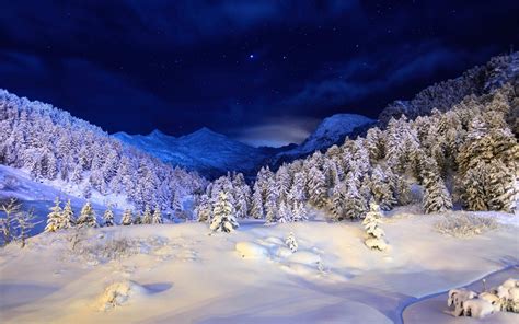 Winter Landscape | Winter Night Snow, Landscape HD quality background ...