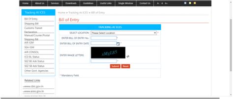 ICEGATE - Filing of Bill of Entry