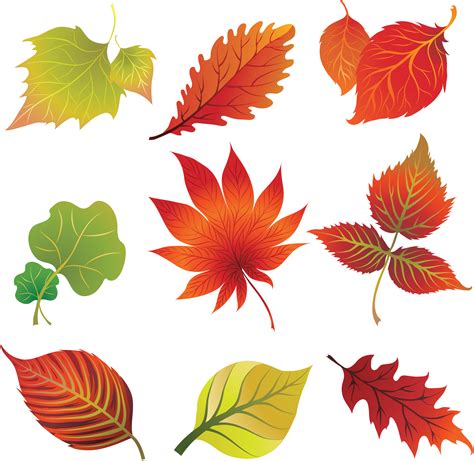 Fall leaves clip art vector – Free Download | VectorPicFree