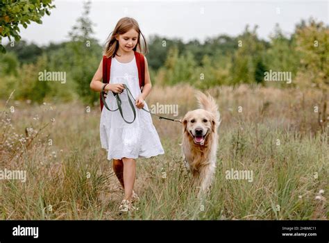 Girl with golden retriever dog Stock Photo - Alamy