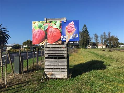 The Strawberry Farm, Mangere - Restaurant Reviews, Phone Number ...