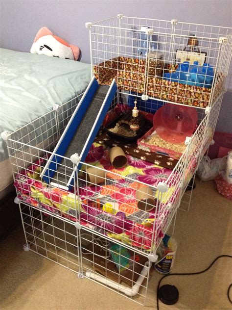 Diy Hedgehog Cage Liner : Pin on Hedgehog Cage Ideas DIY / Guinea pig ...