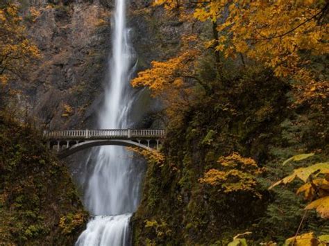 Oregon Fall Colors- 13 Great Spots to Enjoy Fall in Oregon