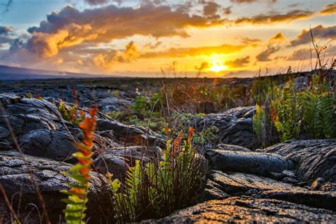 Here's Where to Camp in Hawai'i Volcanoes National Park