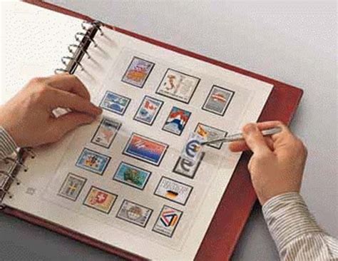 How to Start Stamp Collecting