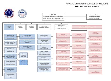 Hierarchy Organizational Chart Complete Guide | EdrawMax