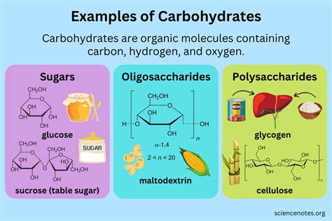 Examples of Carbohydrates | Carbohydrates, Organic molecules, High ...