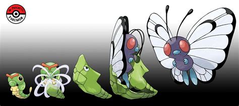 Tips for Pokemon Go: Never Ignore A Caterpie