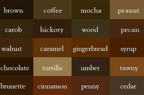 10 Macam Warna Coklat: Sejaran Hingga Fakta Unik di Baliknya - Semua ...