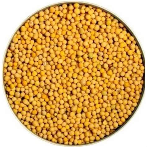 25 Kg Yellow Mustard Seeds at Rs 80/kilogram in New Delhi | ID: 15693765833