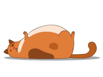 Fat Cat Animation by Alon Boroda on Dribbble