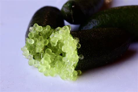 Finger Limes Mixed - 500g :: Fingerlimes Fresh