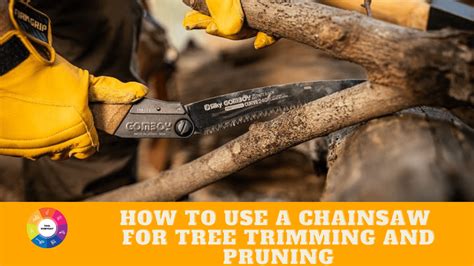 How To Use A Chainsaw For Tree Trimming And Pruning - Tool Everyday