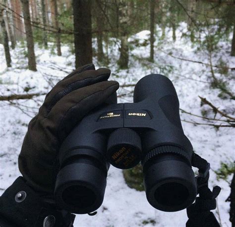 Nikon Prostaff 3s vs 7s (Updated: December 2024)