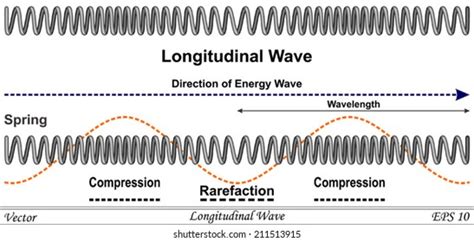 494 Longitudinal Wave Images, Stock Photos, and Vectors | Shutterstock