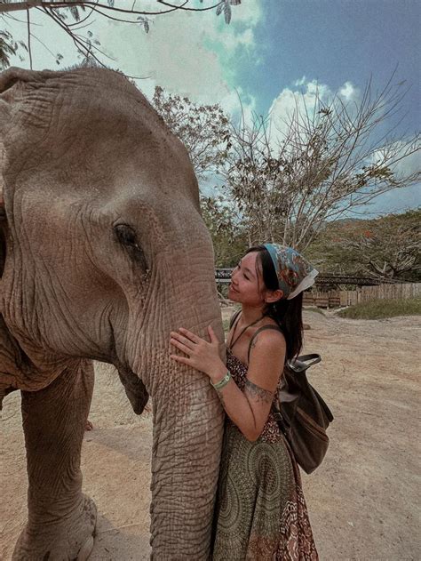 Elephant sanctuary in Koh Samui | Thailand urlaub, Urlaub, Foto ideen ...