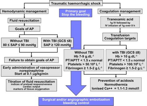 Flowchart of initial management of traumatic hemorrhagic shock. In the...