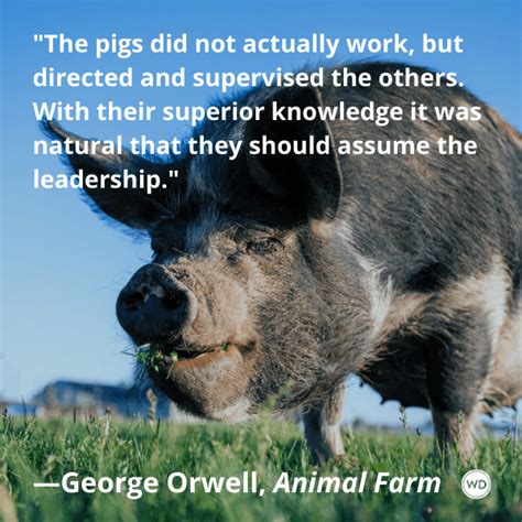 10 Equal Quotes From Animal Farm, by George Orwell - Writer's Digest