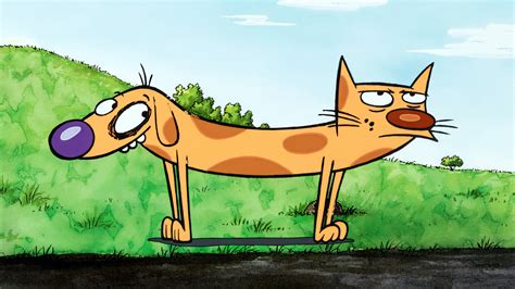 Wallpaper : catdog, animation, cartoon, animated series, cats, dog ...