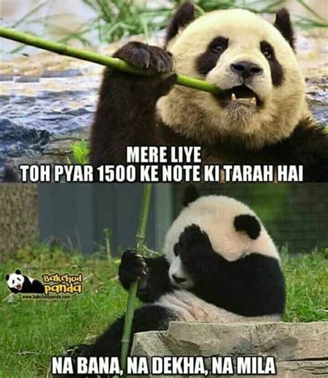 Pin by Tanaya on lol | Panda bear, Memes, Lol