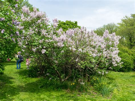 160 Years of Central Park: A Brief History | Central Park Conservancy