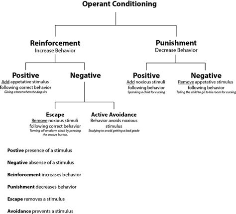 Difference Between Classical and Operant Conditioning | Comparison of ...