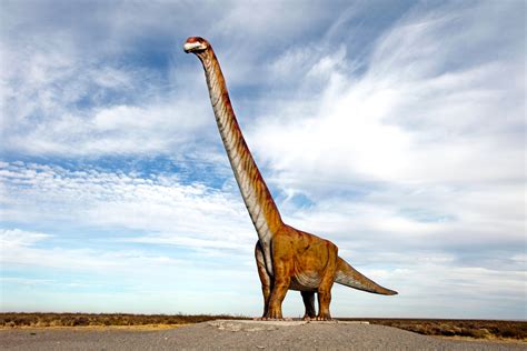 Why the World's Biggest Dinosaurs Keep Getting Cut Down to Size - JKDawn