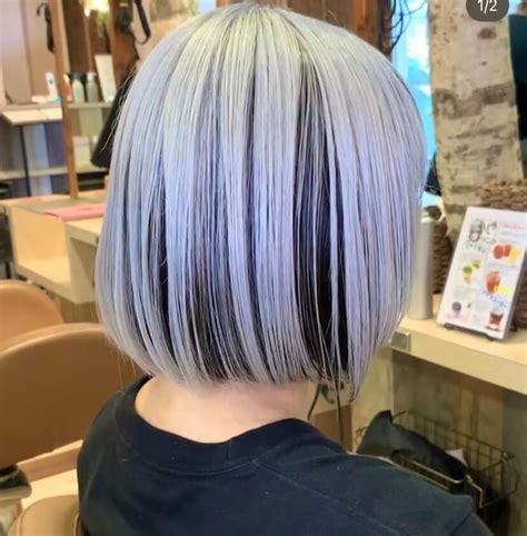 Top 139 + Coloring white hair with highlights - polarrunningexpeditions