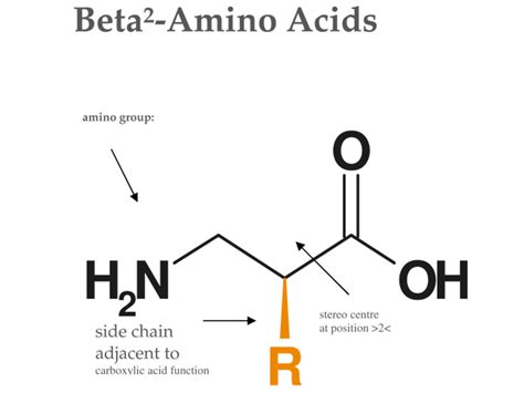 Beta2-Amino Acids: Synthesis Approaches & Compounds - ChiroBlock ...