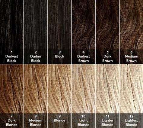 79 Ideas What Does Level 5 Hair Color Look Like For Short Hair ...