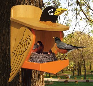 Woodwork Birdhouse Plans Robins PDF Plans