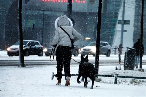 VIDEO AND PICTURES: The First Snow Blankets Helsinki | Finland Today ...