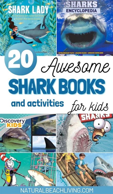 The Best Shark Books for Kids