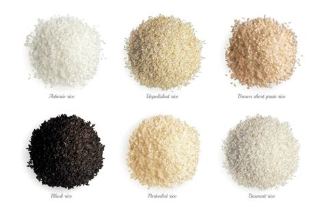 Rice Varieties Realistic Collection 24854256 Vector Art at Vecteezy