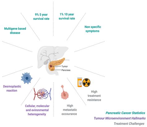 Pancreatic Cancer Treatment