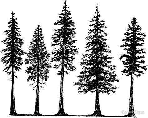 "Pines" Sticker for Sale by CarsonSloas | Pine tree tattoo, Pine tree ...