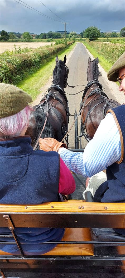 Carriage Driving Lessons | Instruction | Introductory taster sessions ...