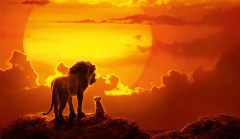 Lion King Sunset (3840x2160) : r/wallpaper