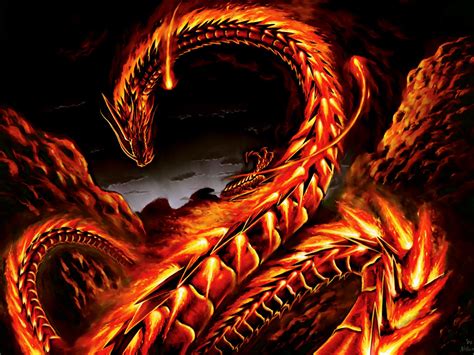 Fire Dragon Wallpaper High Quality Resolution ~ Monodomo | Fire dragon ...