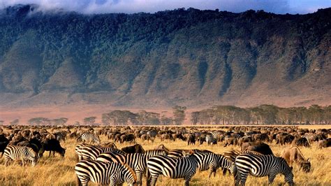 How to see the Ngorongoro Crater | National geographic photographers ...