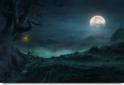 Full Moon Night In Jungle Paper Print - Nature posters in India - Buy ...