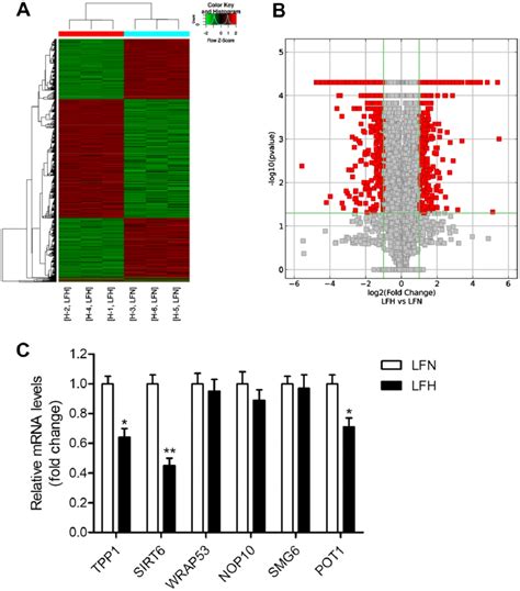 Detection of differentially expressed genes in hypertrophic ligamentum ...