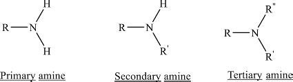 Amines Structural Formula: Occurrences, Naming, Uses - EnthuZiastic