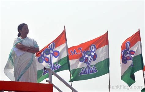 Flag Of All India Trinamool Congress - RankFlags.com – Collection of Flags