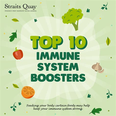 Top Immune System Boosters | Straits Quay