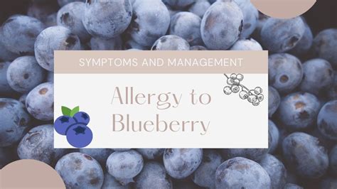 Allergy to Blueberry Symptoms And Management - YouTube