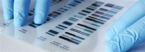 DNA Testing Buffalo NY | DNA Testing Syracuse | DNA Testing Rochester