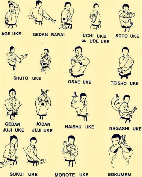 Karate | Karaté, Karaté shotokan, Karaté kyokushin